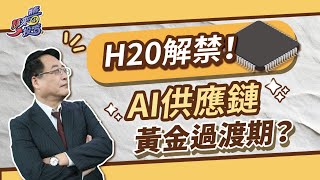 H20 解禁 B30 上場 AI 供應鏈的黃金過渡期！【顏來醬投資】20250726
