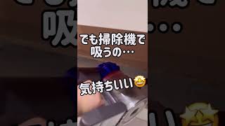 【覗いて見たら】ほこりヤバすぎた #掃除記録 #掃除方法 #掃除術 #掃除の仕方 #ホコリ #ホコリ取り #脱衣室 #洋服ダンス #洋服収納 #100均掃除グッズ