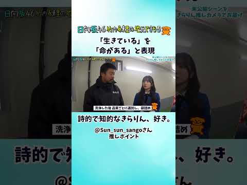 牡蠣打ち現場で思わず詩的な表現をするきらりん（視聴者推しポイント）#じもきら #竹内希来里