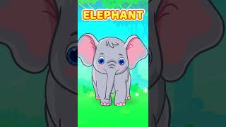 Elephant Dancing 🥰| Fun Info On Elephants 🐘 #shorts