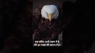 परिंदा अभी उड़ान मे है | Eagle motivational video| #shorts #motivation