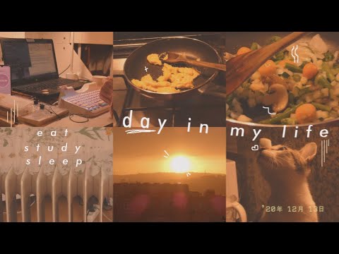study vlog 🌧 A Quiet Morning Routine and Productive Day 🐈💕