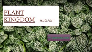 Ch-2 Plant Kingdom (Algae) Class 11th Biology. Quick Revision MCQ NEET