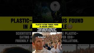 Amazon Fungus Eats Plastic! | Nature's ULTIMATE Pollution Solution! 🌱