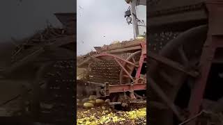 Farmers market #framing #machine #technology #workingtools #foryoupage #goviral