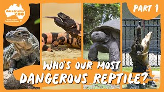 The Reptiles of Australia Zoo | Part 1