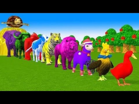 Animal Racing Horse MONKEY Dolphin Gorilla