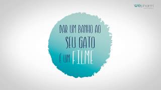 Wepharm | Como dar banho ao seu Gato?