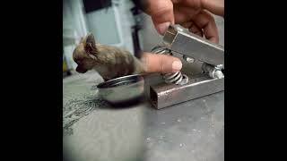#pov#tools #foryoupage #fyp #fypシ゚viral #fypツ