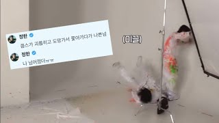 [세븐틴/에스쿱스/정한] 그날의 진실