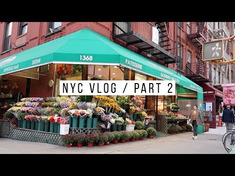 D and V in NYC - Part 2 | Central Park, Brooklyn Bridge, Grand Central Terminal, etc.