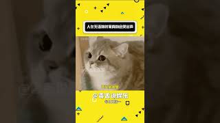 人在無語的時候真的會笑出聲！#萬萬沒想到 #搞笑 #娛樂評論大賞