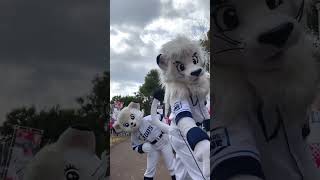 🦁 #seibulions #埼玉西武ライオンズ #レオ #ライナ