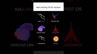 Best hacking os for hackers ☠️
