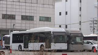 比亚迪K11M出口导向的电动公车。 BYD ELECTRICITY NON-STEP BUS SERIES K11M.