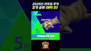 2025년 만우절 쿠키 인기 순위 (에픽 편) TOP 10 | 쿠키런: 킹덤 [Cookie Run: Kingdom]
