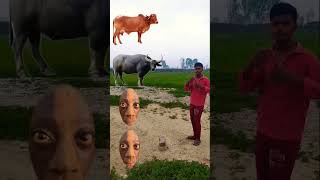 cow buffalo goat lion vfx video☺️ #youtubeshorts #shorts