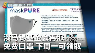 淡马锡基金会再派免费口罩 下周一起可领取