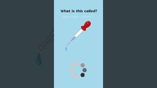 English Vocabulary #englishvocabulary #englishvocabularyforbeginners #englishwords #shorts