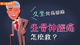 【華人健康網】健康小學堂 - 久坐臀痛腳麻，坐骨神經痛怎麼救？