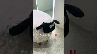 【整形】目の整形してきました(2回目) #バズれ #美容 #整形