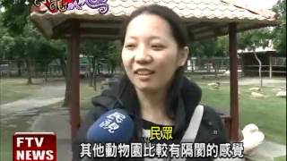 可愛動物餵食秀 過年搶錢潮－民視新聞