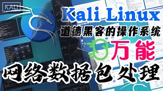 Kali Linux 道德黑客的操作系统 - Python 3 - Scapy 网络数据包处理工具