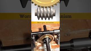 Worm Gear Mechanism ✅