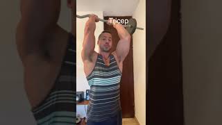 Full Body Workout At Home with Barbell ONLY | #Shorts