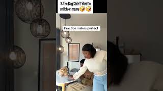 Wow5 #automateyoutubevideos #bobmarley #jamaica