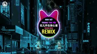 窝窝 - 花儿开在我心里 (DJ版) Hoa Nở Trong Tim Tôi (Remix Tiktok) - Oa Oa || Hot Tiktok Douyin