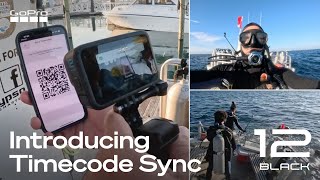 How to Use GoPro HERO12 Black's Multi-Camera Timecode Sync