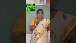 கத்தரிக்காய்க்குக்குடைபிடிக்க#பாடல்319#part2#songs#shorts@PackiaTeacher