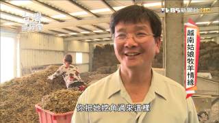 20150925 台灣是我家 越南姑娘牧羊情緣