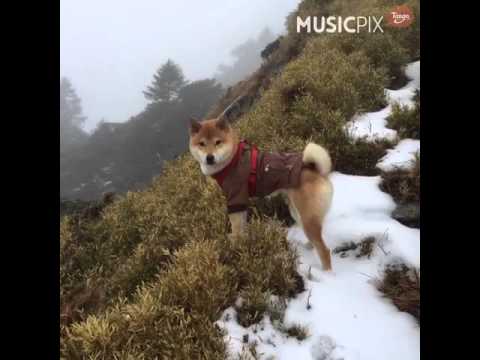 Kimu寶貝快樂遊～合歡山&kellyho