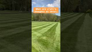 What you thinking 🔥 or 🚮 #youtubeshorts #lawncare #work #hustle #grass