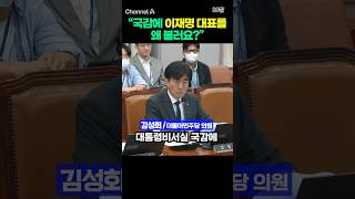 "국감에 이재명 대표를 왜 불러요?" #채널A #shorts #30짤