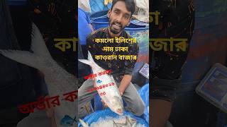 দাম কমলো ইলিশের দেখুন #viralvideoシ #reelsviralシfb #shortsvideo