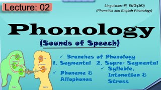 Phonology | What is phonology and its branches?