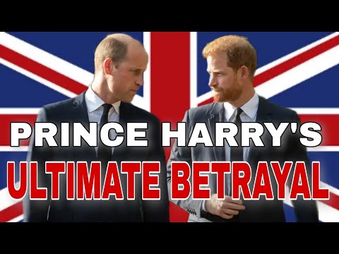 Prince William & Harry | A cautionary tale