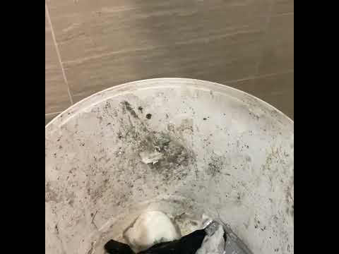How to Clean a Basin Trap or Clogged Basin: Easy DIY Guide