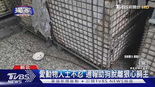 #獨家 工廠業者「狠毆狗狗」 民眾拍下過程救援｜TVBS新聞 @TVBSNEWS01