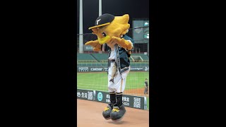 20250418 氣蓋山河（雞柳條 aka Takao）