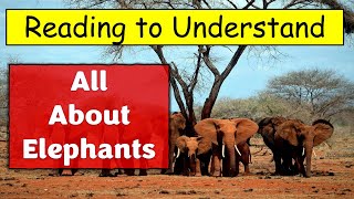 All About Elephants