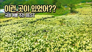 8월 국내 여행 추천 숨겨진 매력적인 여행지 BEST #국내여행 #여행추천