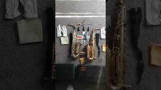 Whatchu got? #saxophone #harmonica ?  #music #gear #musicgear