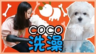 Let's take a bath with coco! | Xiaoling toys