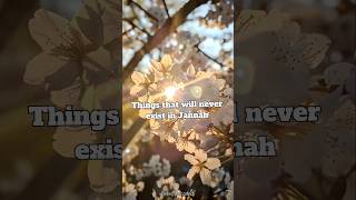 Things that will never exist in Jannah #deensayings #islamicstatus #islam #jannah #fyp