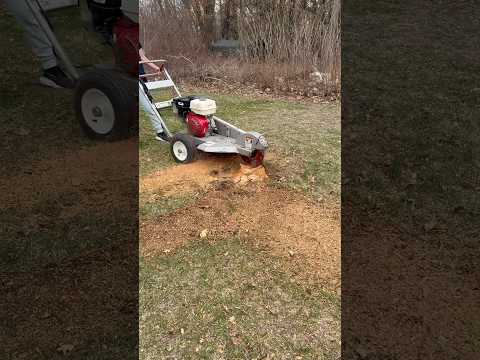 DIY Stump Grinding