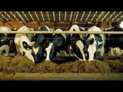 A corporate sales film to show products in action